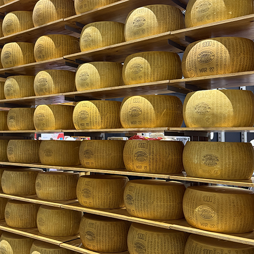 wheels of parmesan cheese stacked
